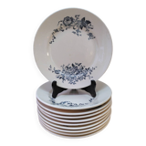 10 Terre de fer flat plates, Longchamp