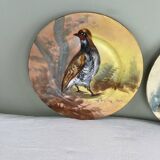 Set of decorative plates