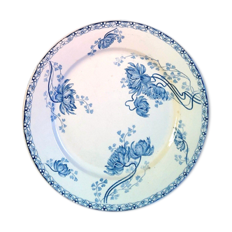 Lot of old plates in iron earth