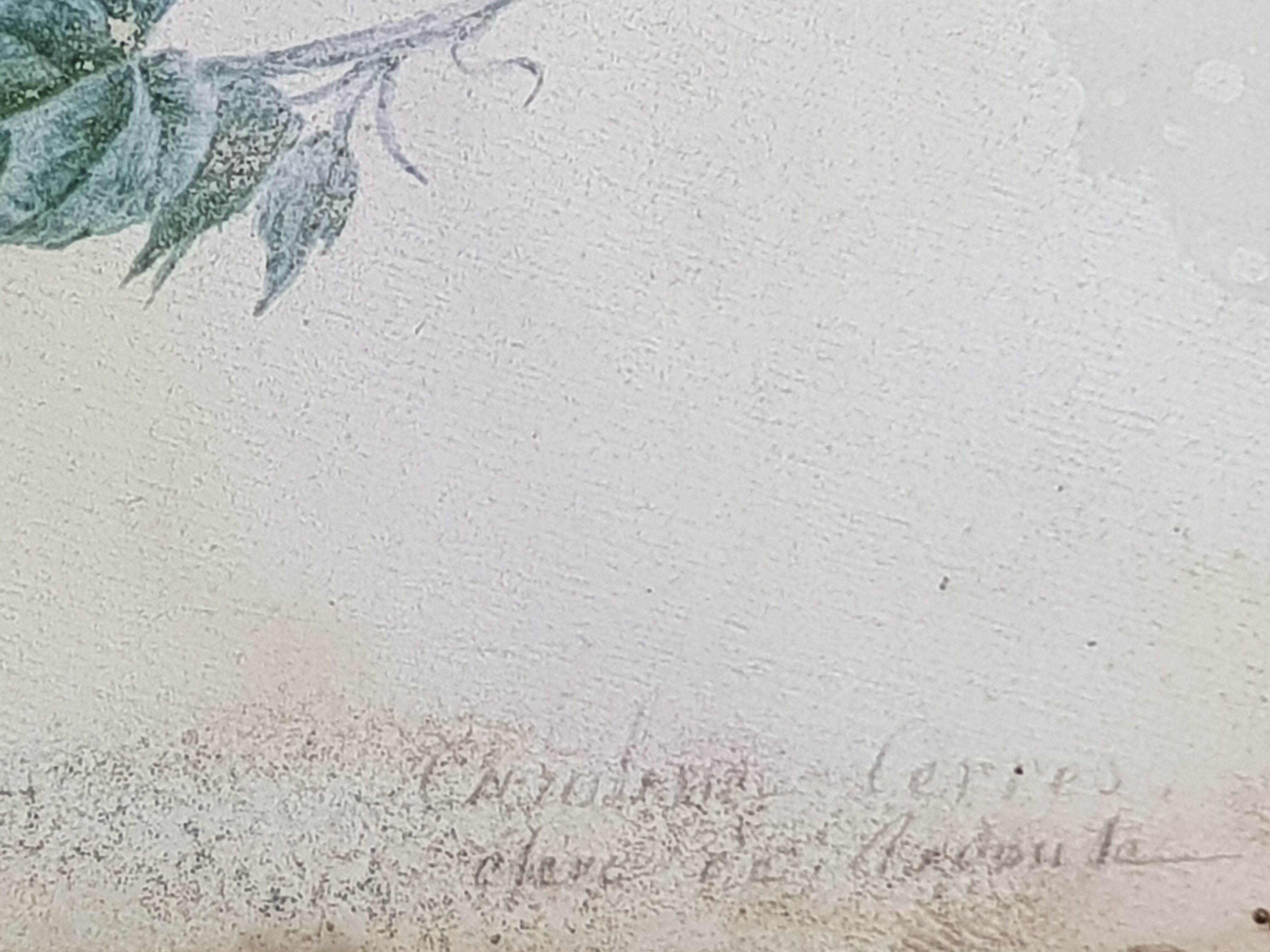 Cadre du début du XIXème siècle, bouquet de fleurs sauvages, signé, élève de Pierre-Joseph Redouté