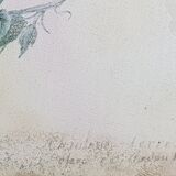 Cadre du début du XIXème siècle, bouquet de fleurs sauvages, signé, élève de Pierre-Joseph Redouté