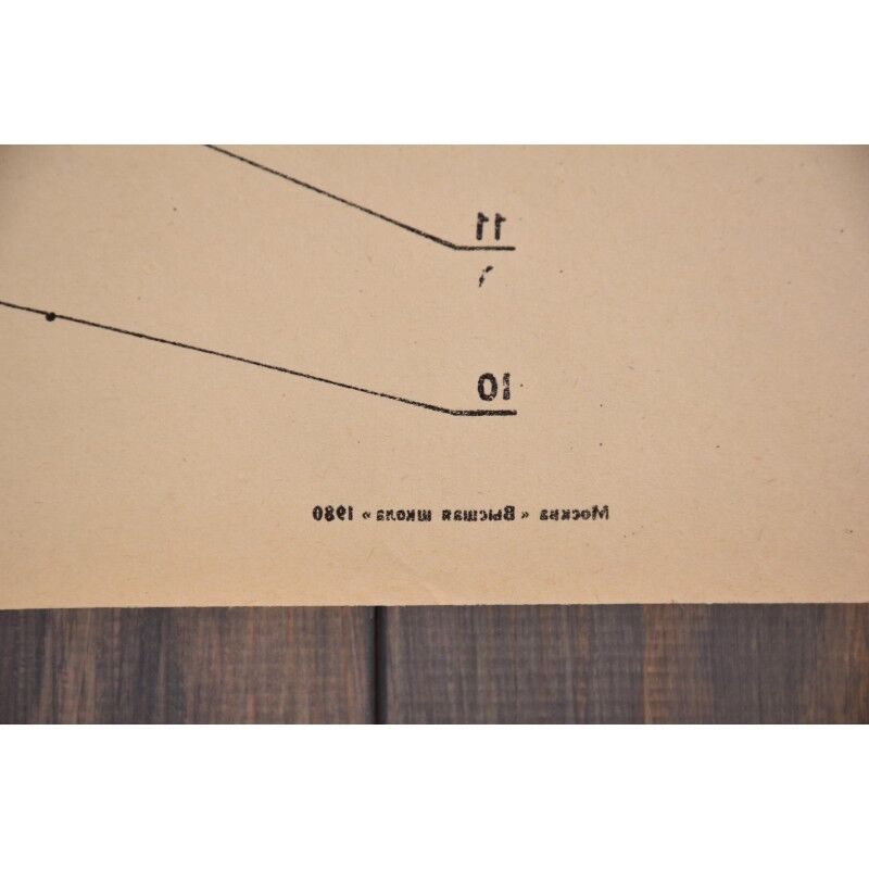 Double sided educational print