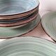 Ensemble de 7 assiettes plates et creuses vintage