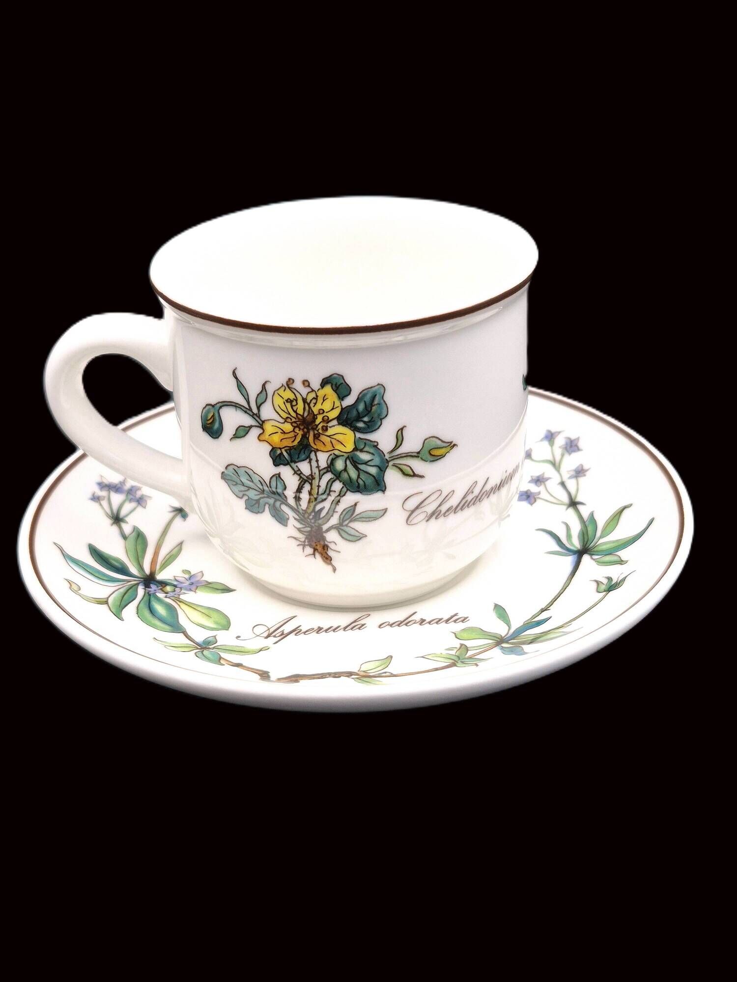 Set of 6 coffee cups and saucers Villeroy & Boch, vintage, Botanica