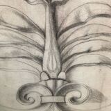 Charcoal