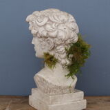 Head David in full plaster
