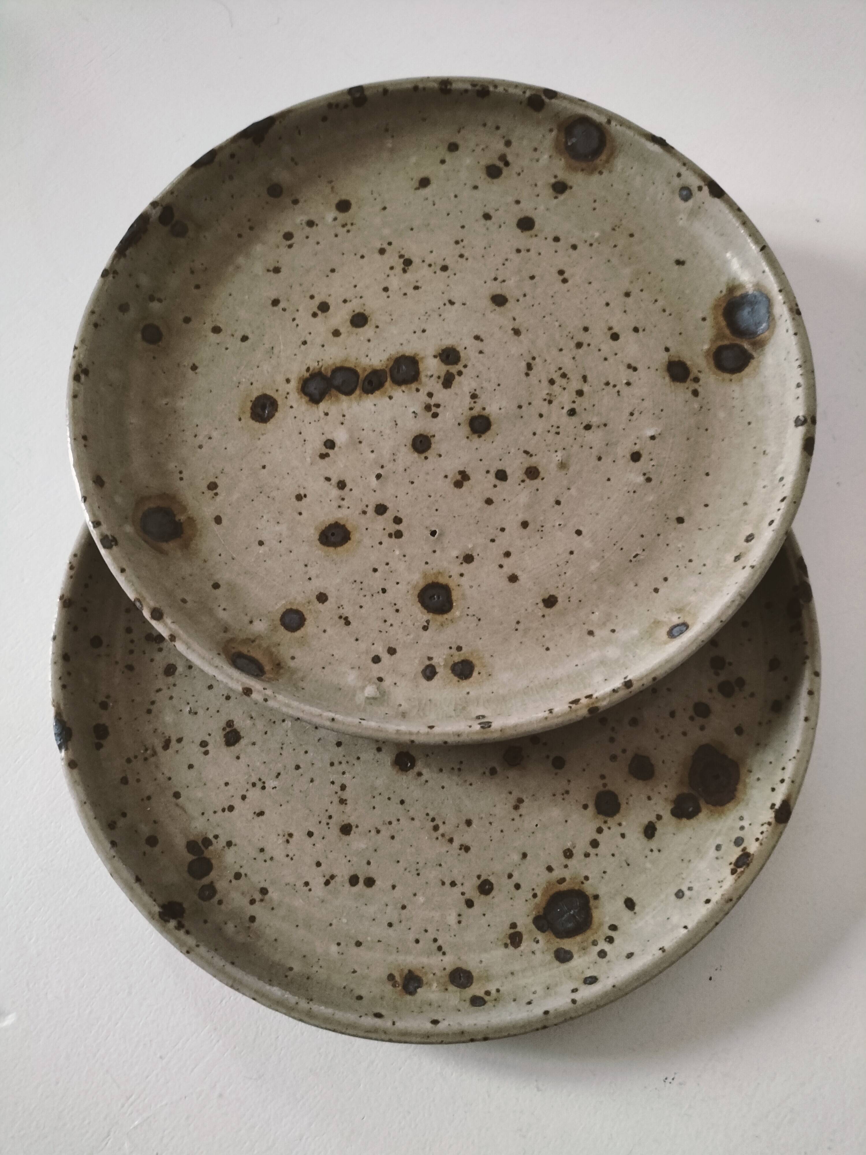 Set of two pyrite stoneware plates - natural mineral tones