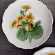 Set of 3 Small Barbotine Plates Villeroy & Boch Schramberg