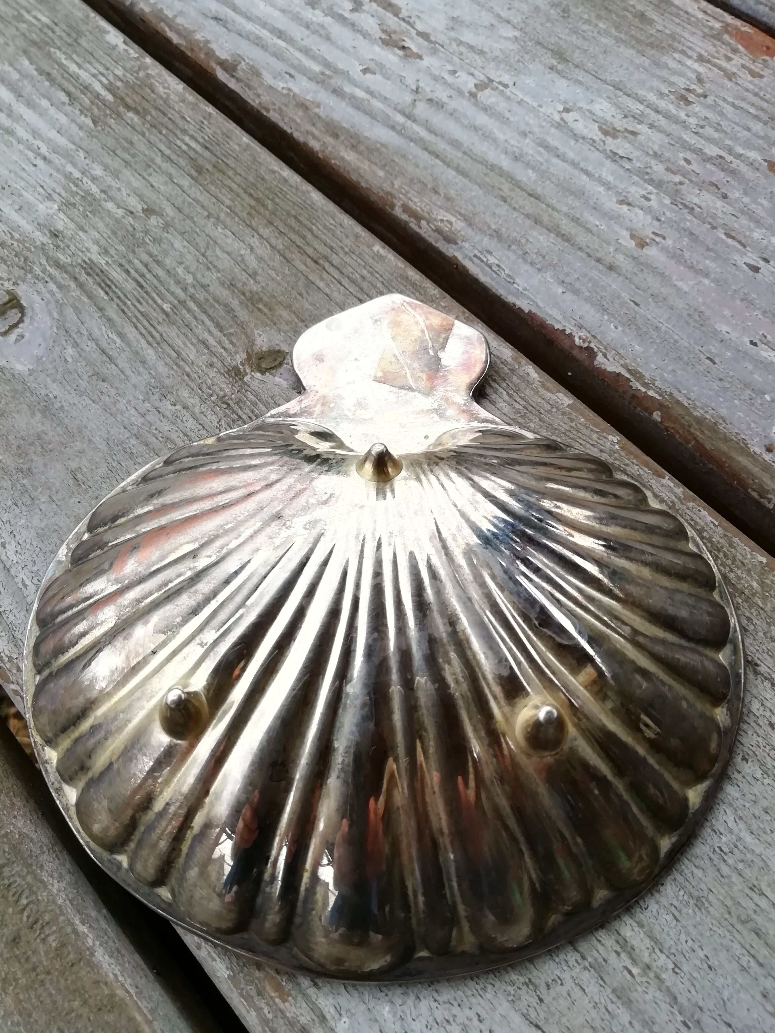 Scallops silver metal