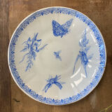 Insect plates