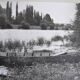 Anonymous film photo river and canoe circa 1970