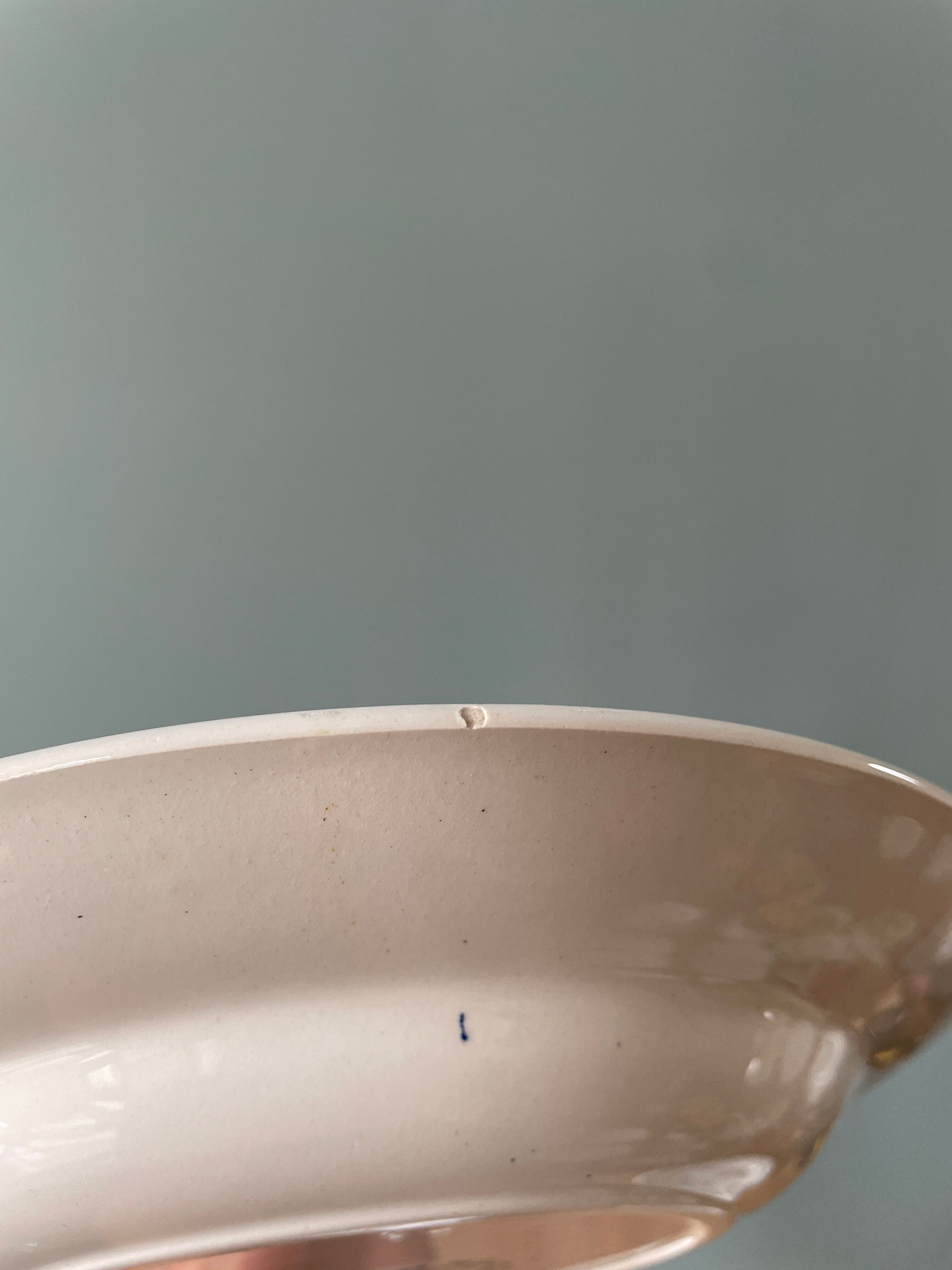 Set of 9 hollow plates 1900 "Butterfly" FF Pexonne