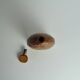 Rare vintage wooden carafe by Simon Bottel, 1950s