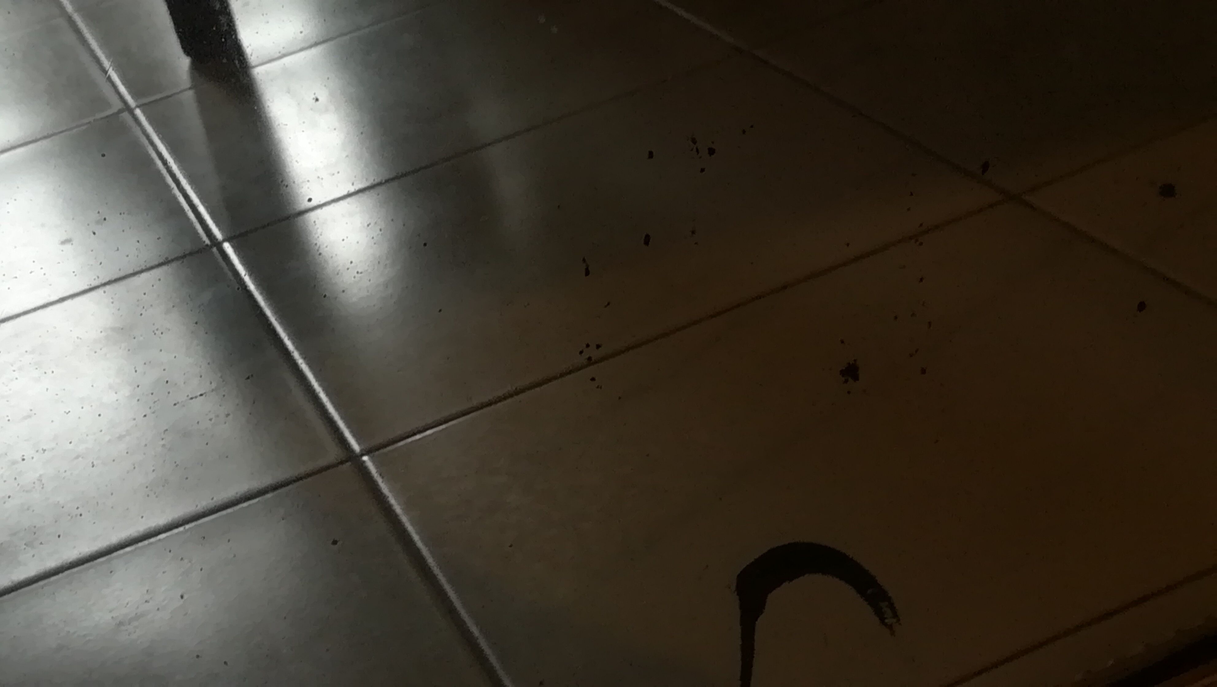 Classic golden mirror - KZ037hT