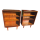 Scandinavian style display case