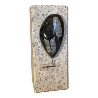 An asymmetrical travertine and fossil bookend.