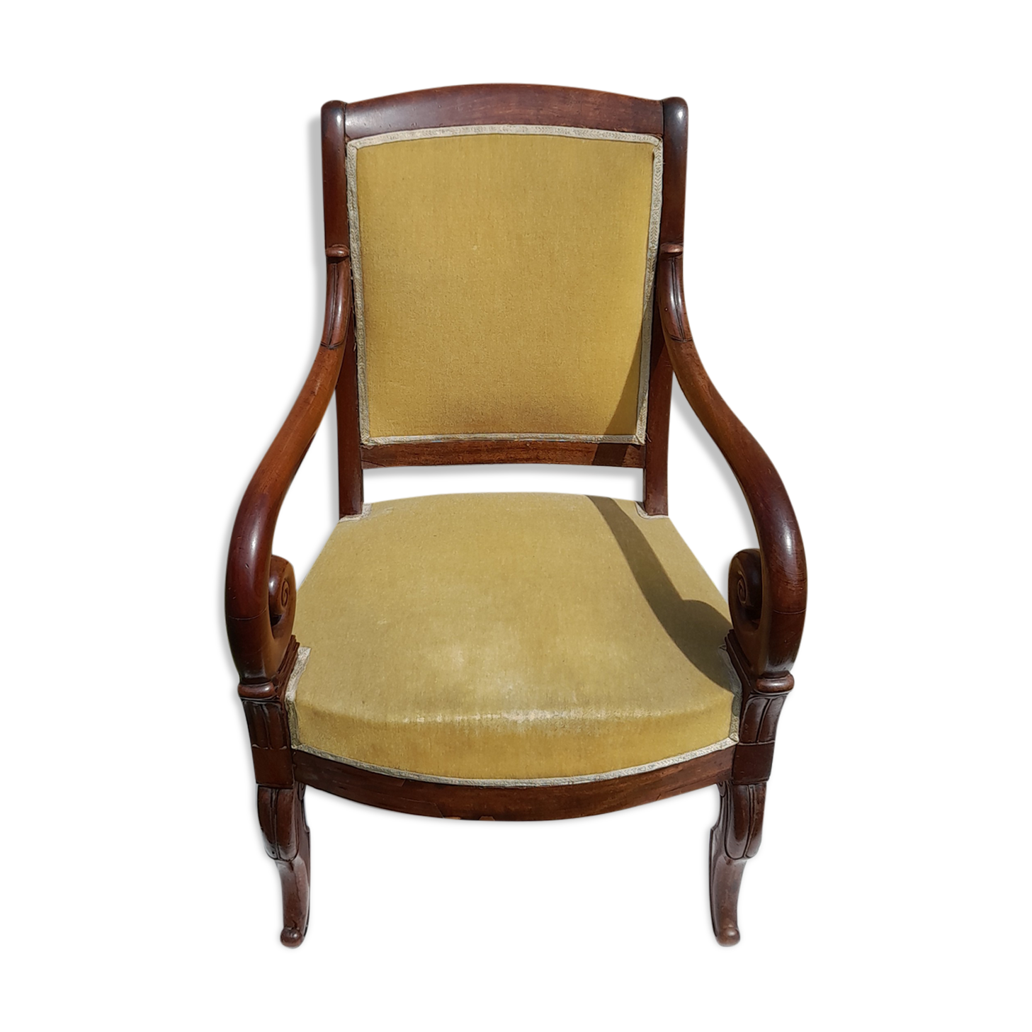 Mahogany butt armchair and mahogany veneer XIX th