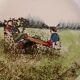 3 plates Saint Amand child scene