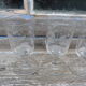 Wine glasses XIXth century blown thick