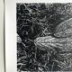 Rosine nusimovici, frost, 1980. black and white silver print signed on the back