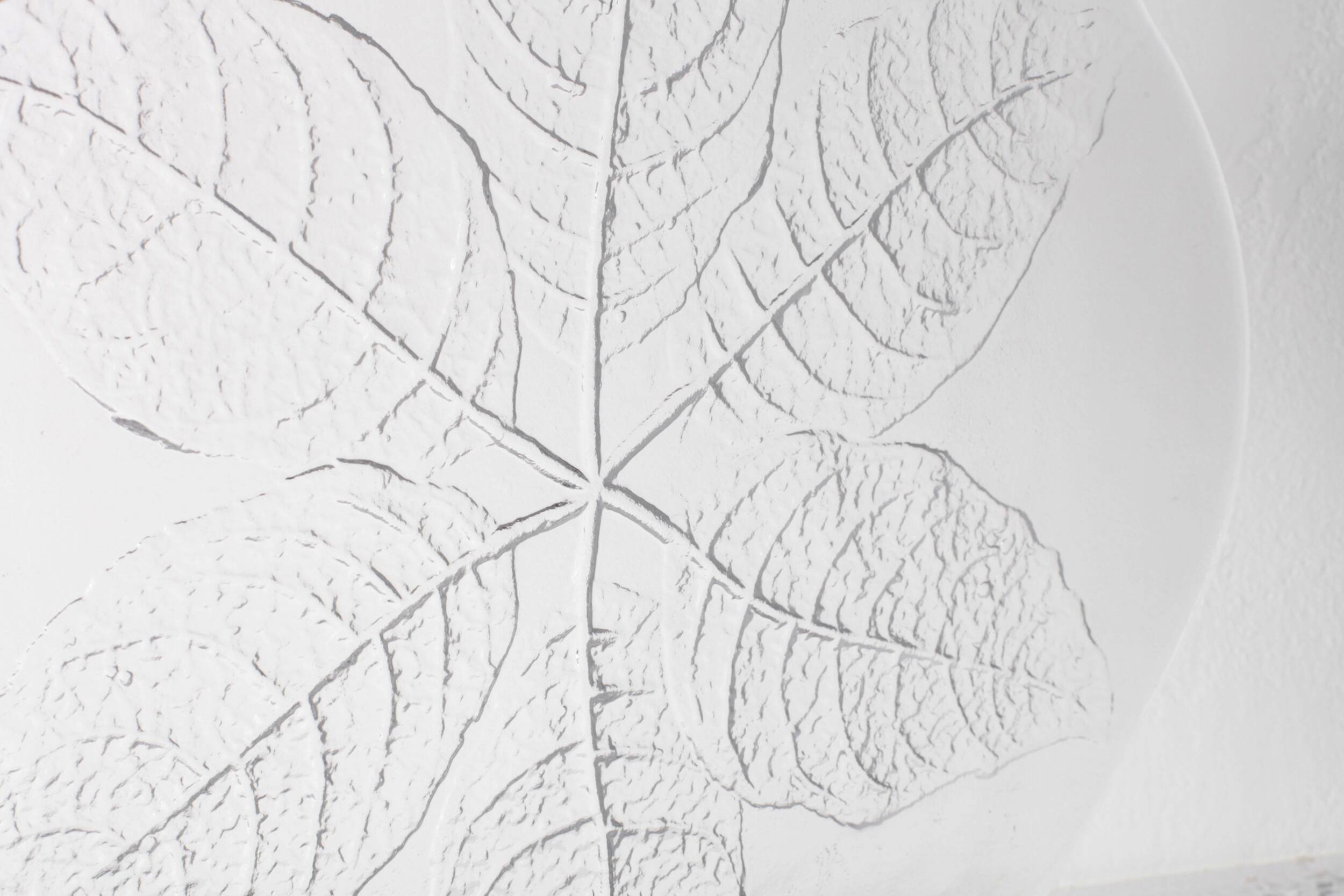 Large Kosta Boda Glass Cheese Platter: Vintage Leaf Design by Wärff / 1975