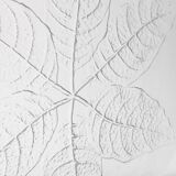 Large Kosta Boda Glass Cheese Platter: Vintage Leaf Design by Wärff / 1975