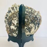 Large mother-of-pearl shell