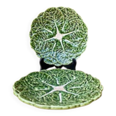 Duo of cabbage leaf slip plates