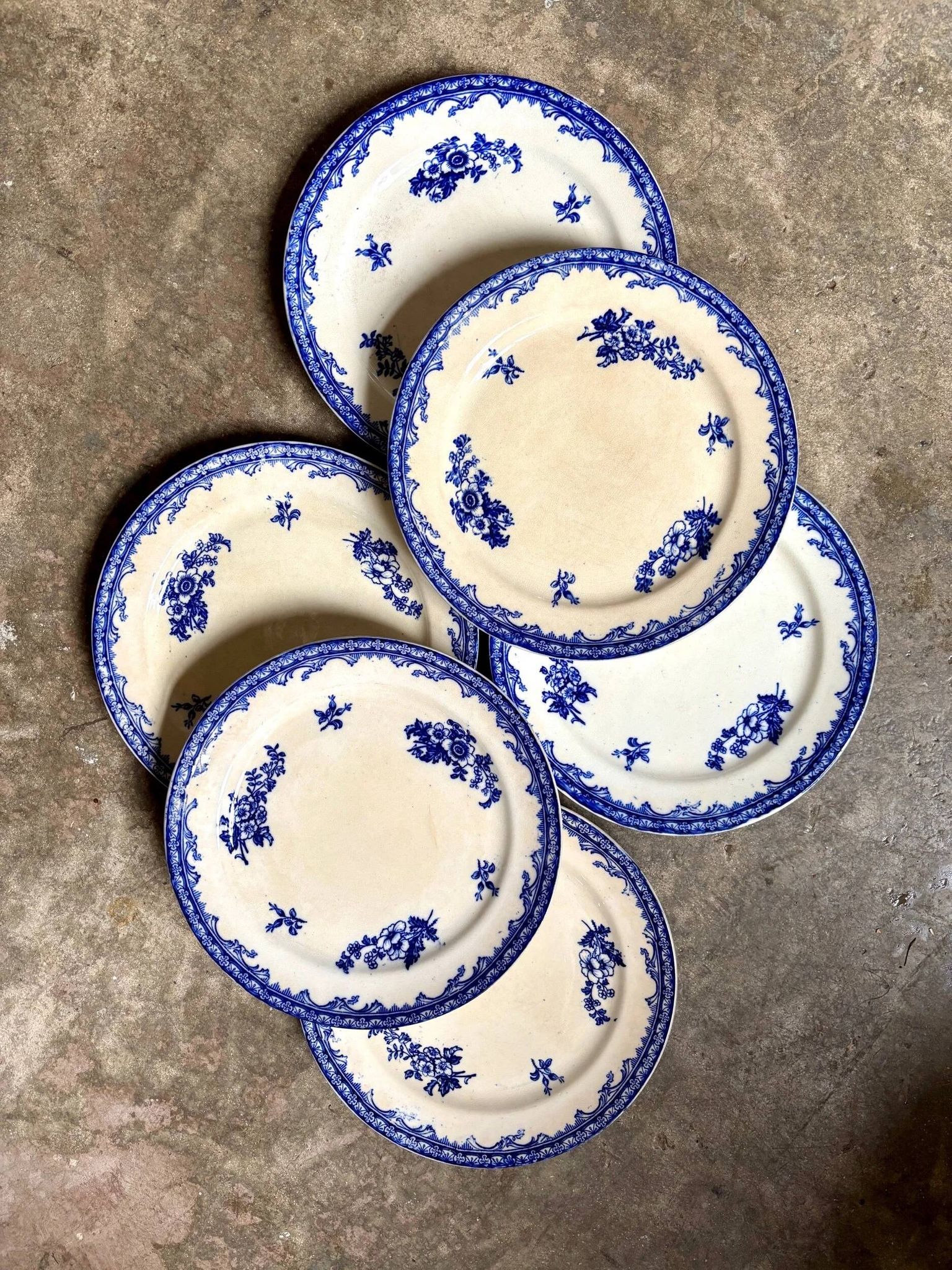 6 assiettes plates Staffordshire en terre de fer bleue
