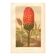 Gravure ancienne 1889 - Arum tacheté par A. Lefevre - Planche botanique