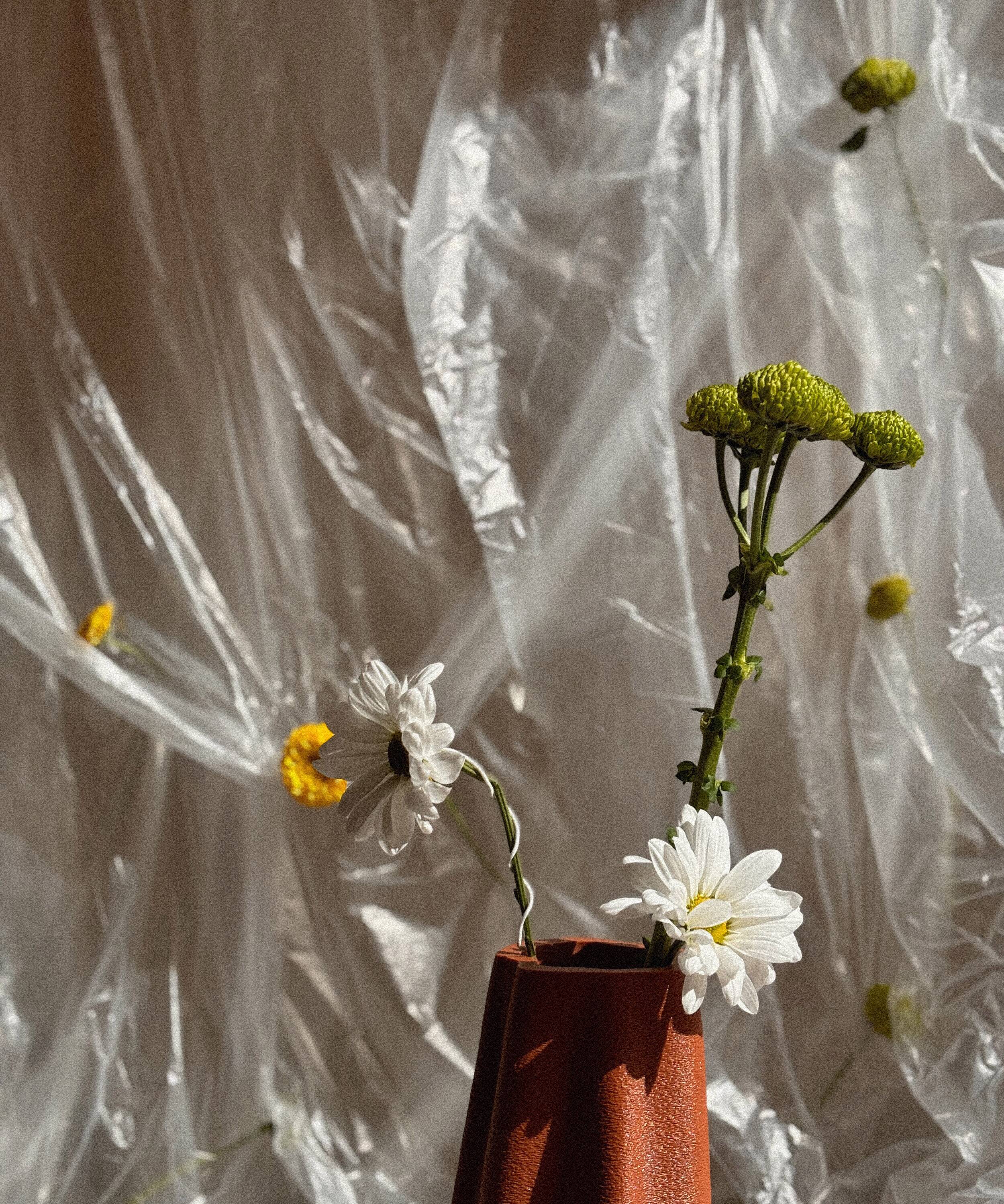 Grand vase biologique