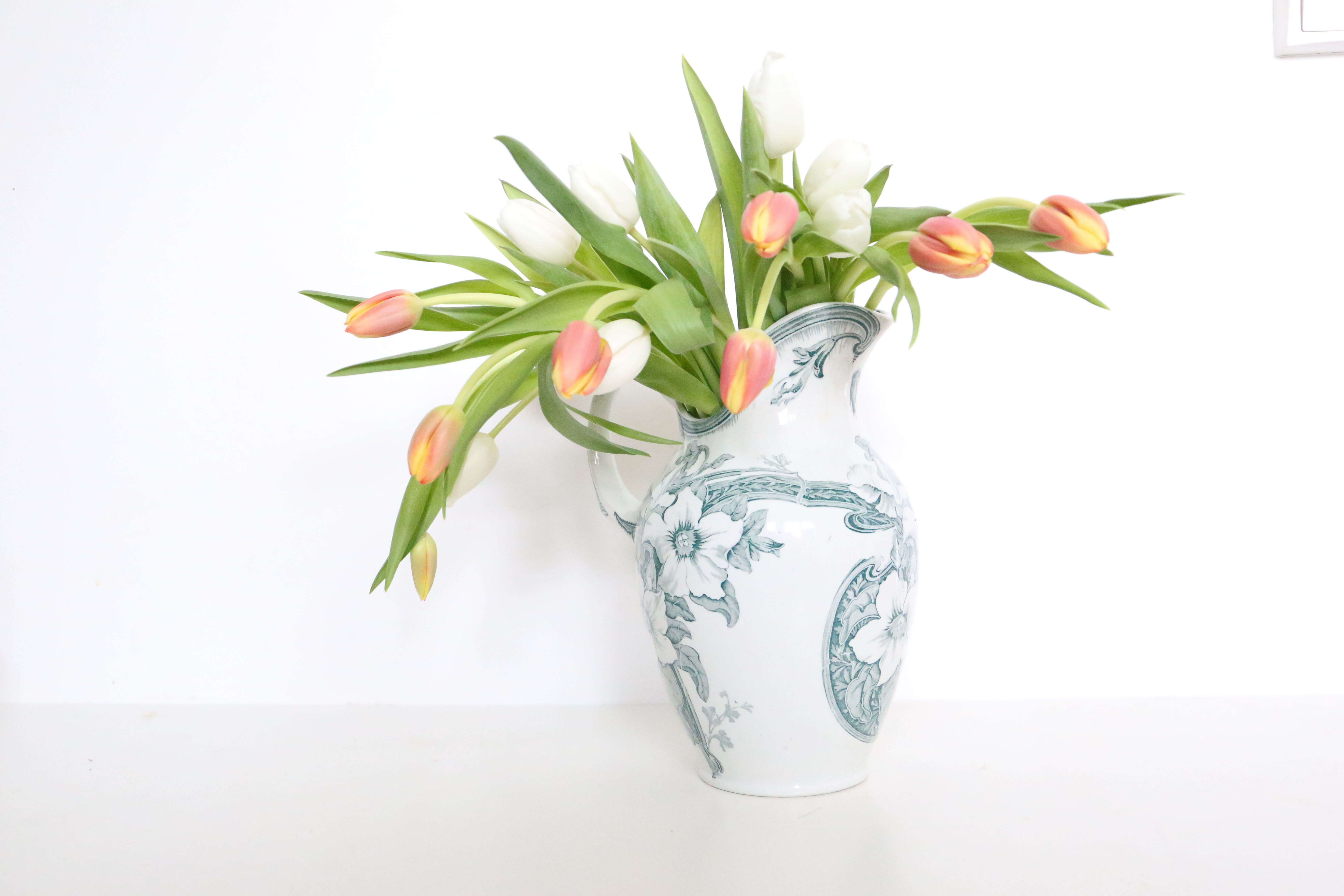 Pitcher, Keller and Guerin, Petunia, Iron Earth