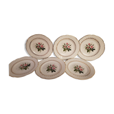 6 dessert plates