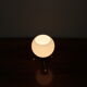Mid-Century Table Lamp, Czechoslovakia, 1960s