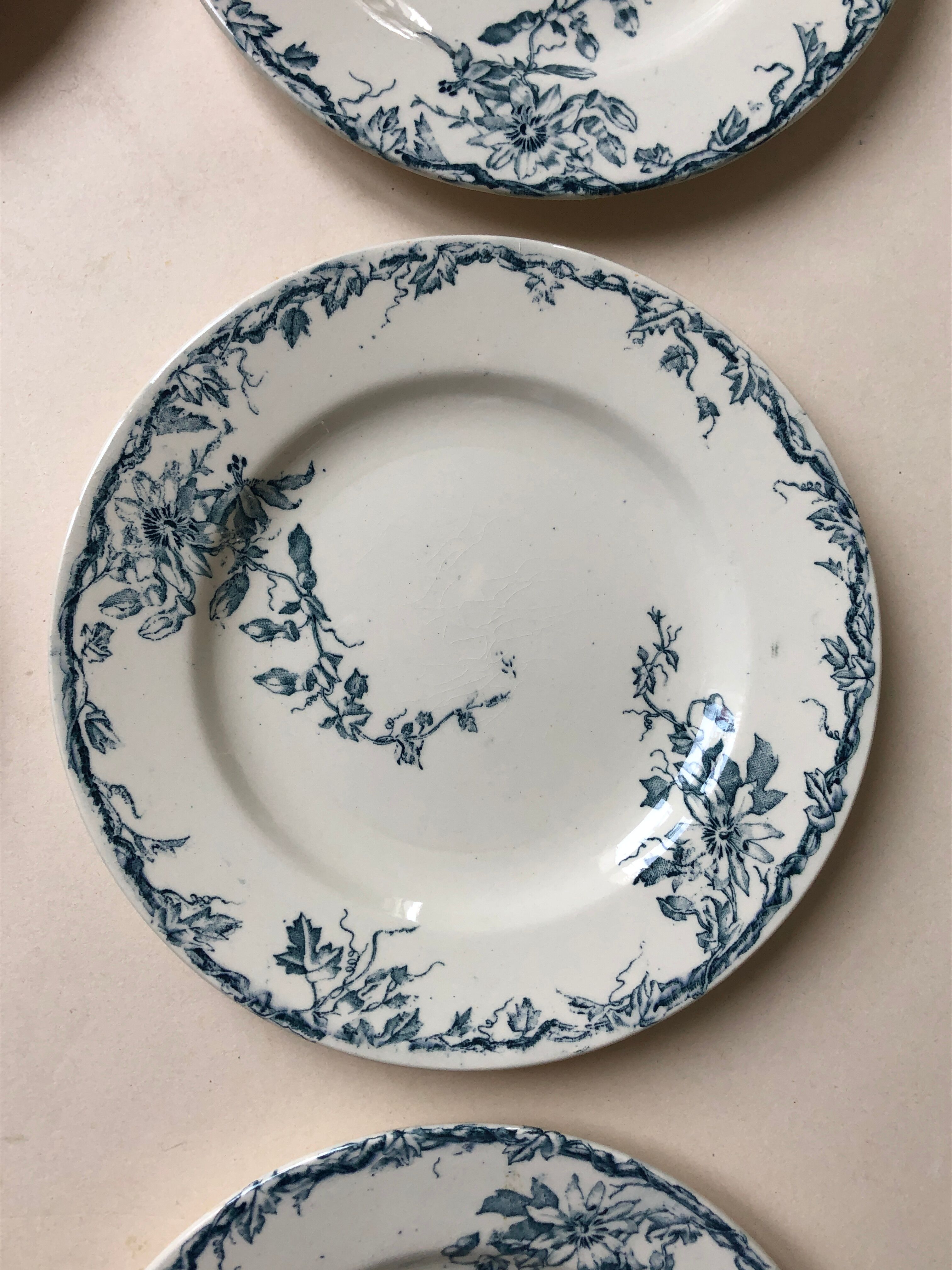 Set of 6 plates in faience Luneville model Passiflore