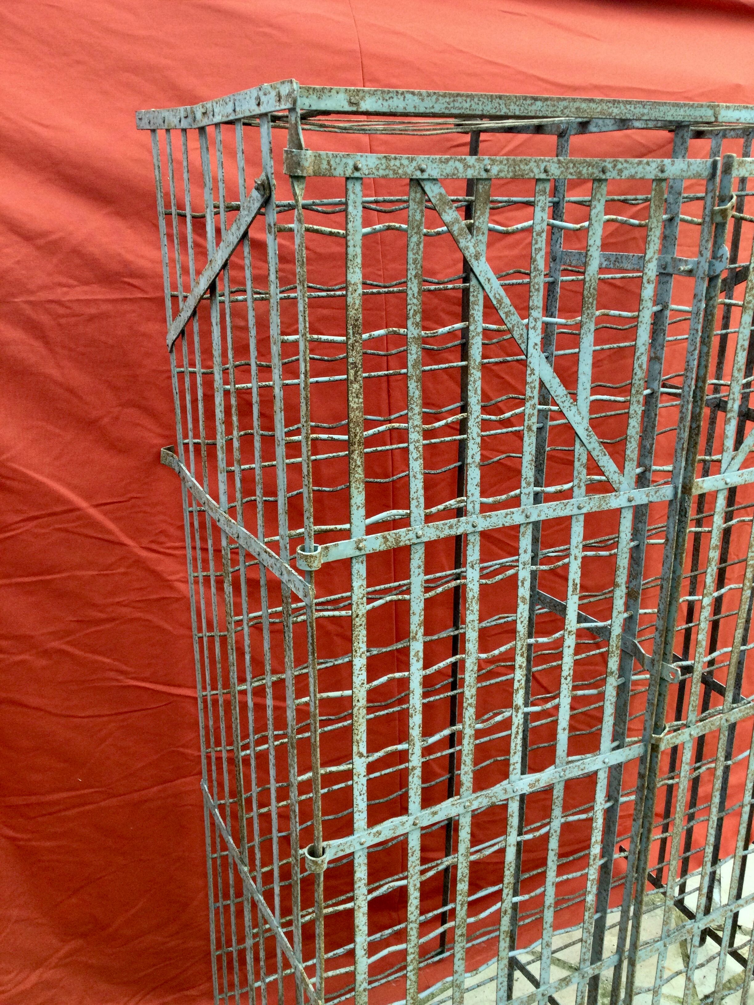 Wine cellar 300 bottles