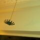 Set of 3 vintage vine leaf shaped pendant lights 1970s