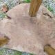Tabouret tripode en bois brut