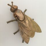 Golden ashtray fly