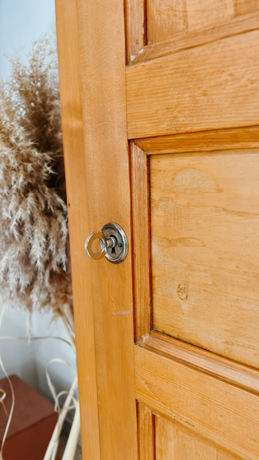 Boarding cabinet a vintage door