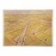 School posters Terrain Limoneux and La Plaine Montmorillon