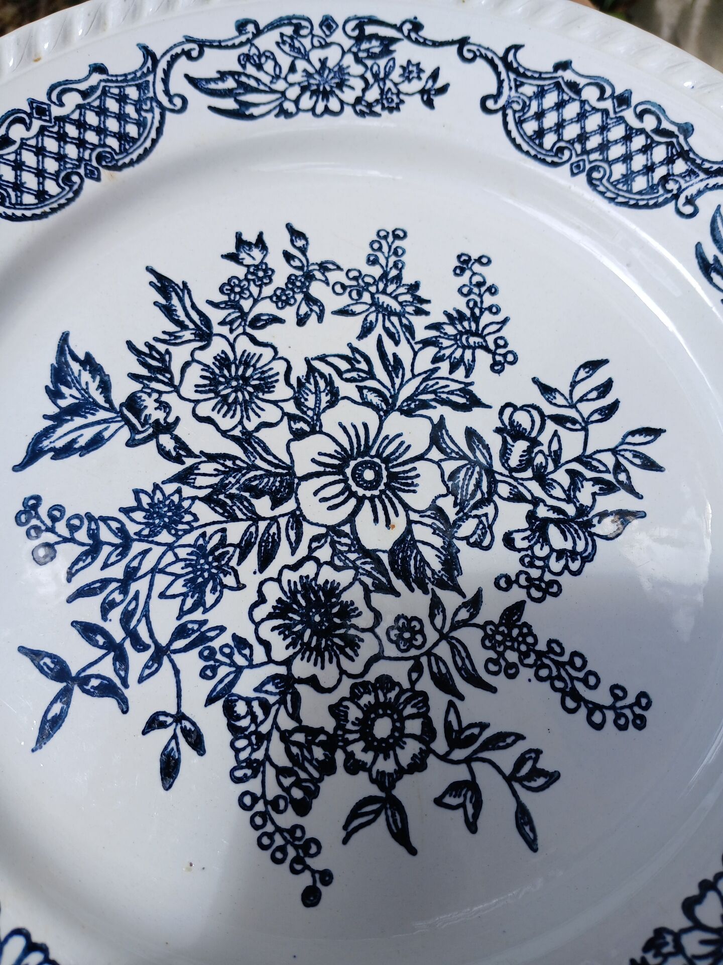 6 antique dinner plates