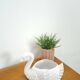 vintage porcelain flower pot in the shape of a swan
