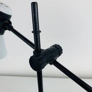 Veneta Lumi articulated vintage desk lamp