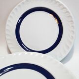Lot de 5 assiettes à dessert 19,6cm bleues et blanches