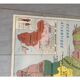 Ancient educational map South America/Africa