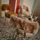 Set of 3 Moumoute Chairs, 2 Pelfran, 1 Barrel from 1960-1970.