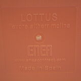 High chairs, Enea bar stool model lottus