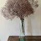 Transparent glass vase