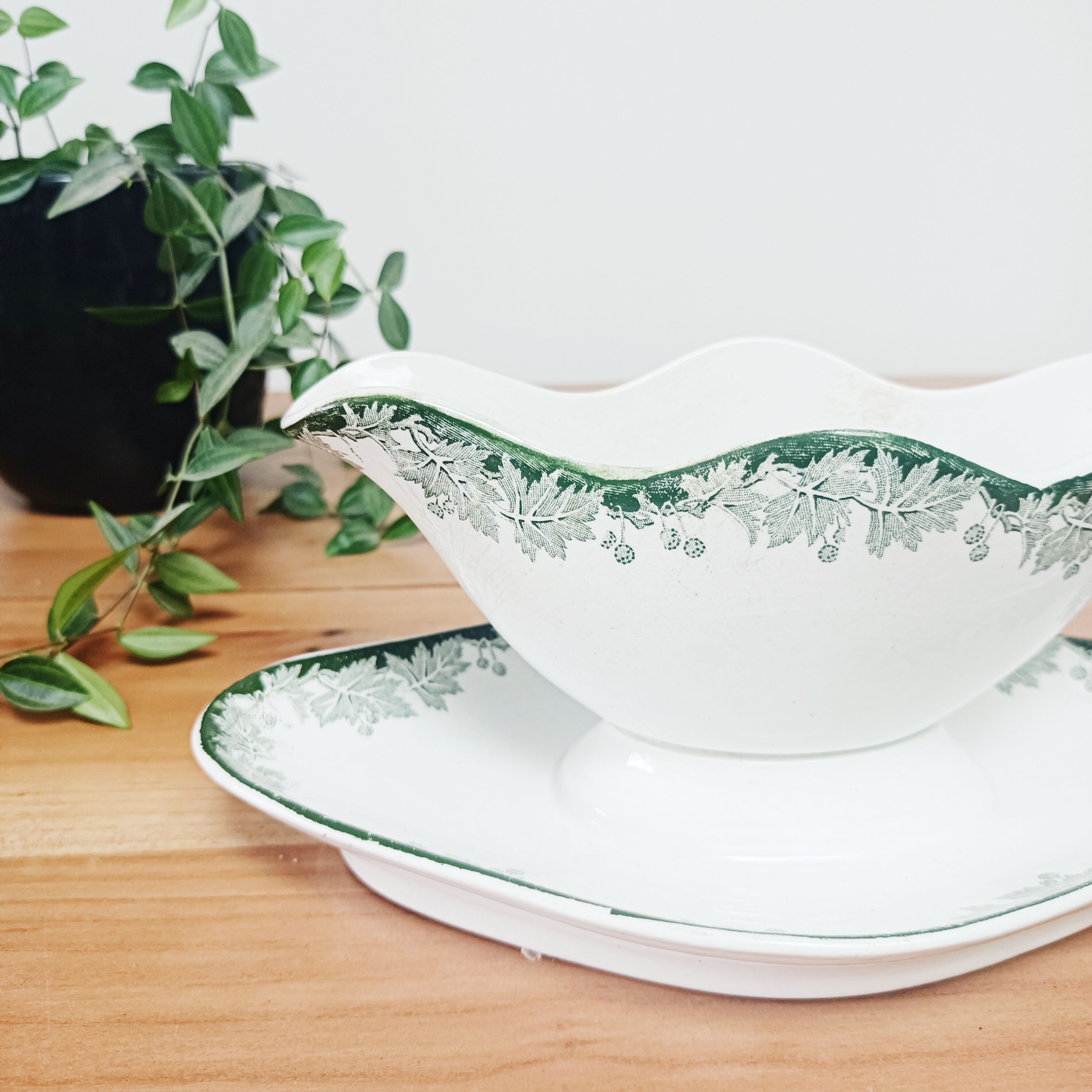 Saucière land of iron Saint Amand and Hamage, plane tree